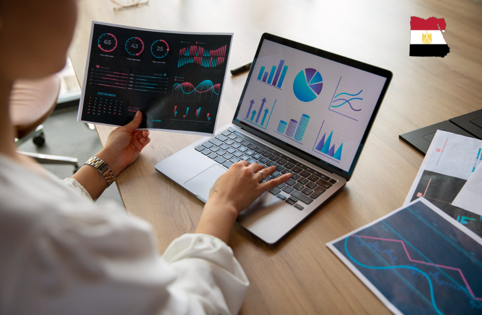 Best Online Data Analysis Courses in Egypt 2025 | IMP